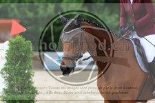 ref. photo 3696945