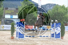 ref. photo 3696979