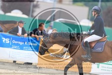 ref. photo 3697043