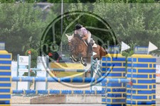 ref. photo 3697073