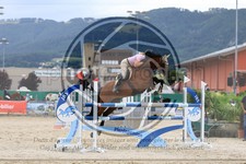 ref. photo 3697074