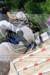 ref. photo 3697167