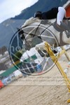 ref. photo 3697325