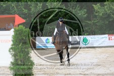 ref. photo 3697414
