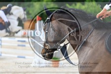 ref. photo 3697418