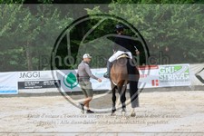 ref. photo 3697419