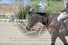 ref. photo 3565773