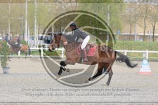 ref. photo 3565845