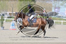ref. photo 3566003