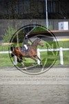 ref. photo 3566020