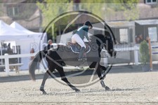 ref. photo 3566079