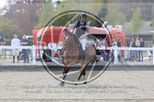 ref. photo 3566114