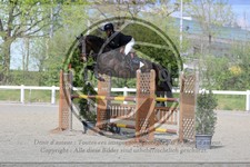 ref. photo 3566196