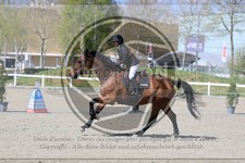 ref. photo 3566260