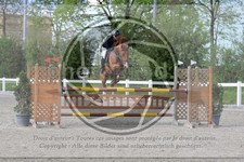 ref. photo 3566303