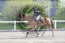 ref. photo 3566392