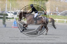 ref. photo 3566503