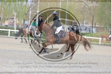 ref. photo 3566537