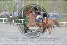 ref. photo 3566576