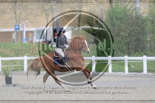 ref. photo 3566592