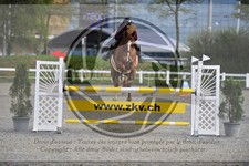 ref. photo 3566597