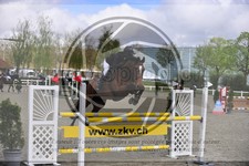 ref. photo 3566658