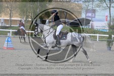 ref. photo 3566723