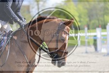 ref. photo 3566801