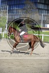 ref. photo 3566840