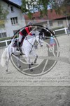 ref. photo 3566888