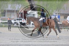 ref. photo 3566986