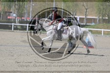 ref. photo 3567058