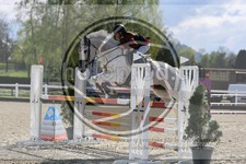 ref. photo 3567060