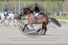 ref. photo 3567103