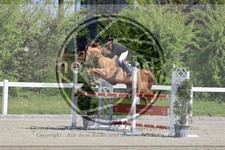 ref. photo 3567106