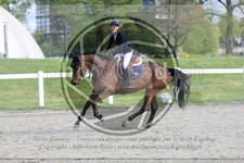 ref. photo 3567113