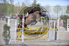 ref. photo 3567123