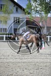 ref. photo 3567126
