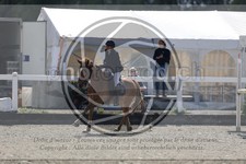 ref. photo 3567147