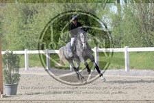 ref. photo 3567152