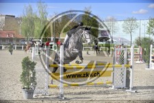 ref. photo 3567163
