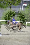 ref. photo 3567194