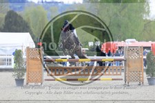 ref. photo 3567348