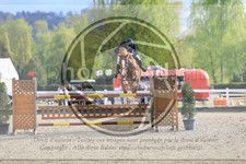 ref. photo 3567358
