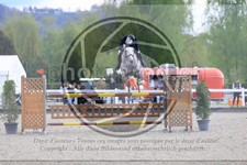 ref. photo 3567394