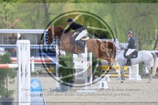 ref. photo 3567452