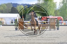 ref. photo 3567456