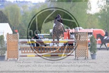 ref. photo 3567473