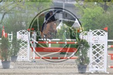 ref. photo 3567532