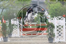 ref. photo 3567597
